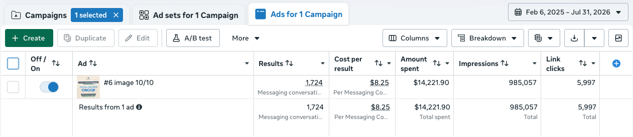 Meta Ads Manager showing the winning ad generated 1,724 messaging conversations at $8.25 each